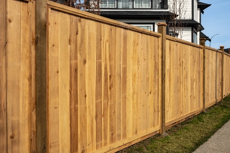 Fence Cleaning Thumbnail